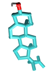 Cholesterol molecule