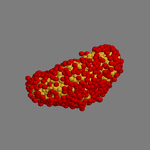 DPD: vesicle 2